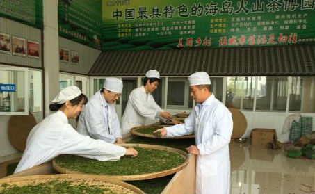 浙江大學(xué)湯一教授親自帶團(tuán)隊(duì)來火山茶基地支持火山紅茶研發(fā)。